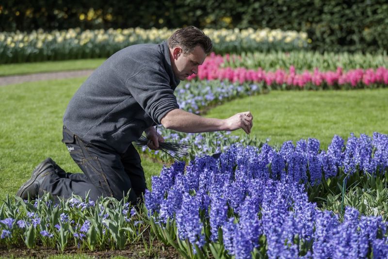 Keukenhof 2019 - Flower Power. Jardinero Keukenhof. Keukenhof 2019 - Flower Power. Jardinero Keukenhof.